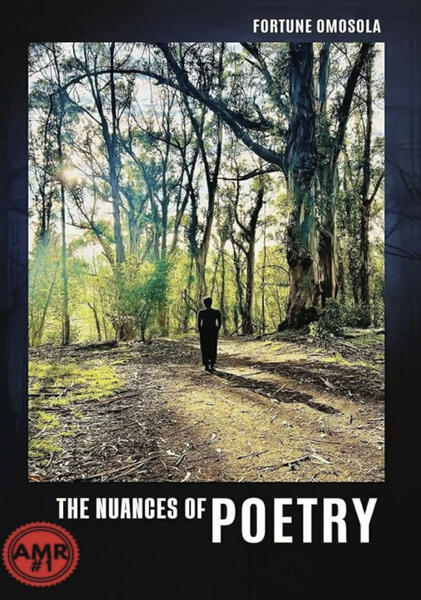 The Nuances of Poetry The Nuances of Poetry